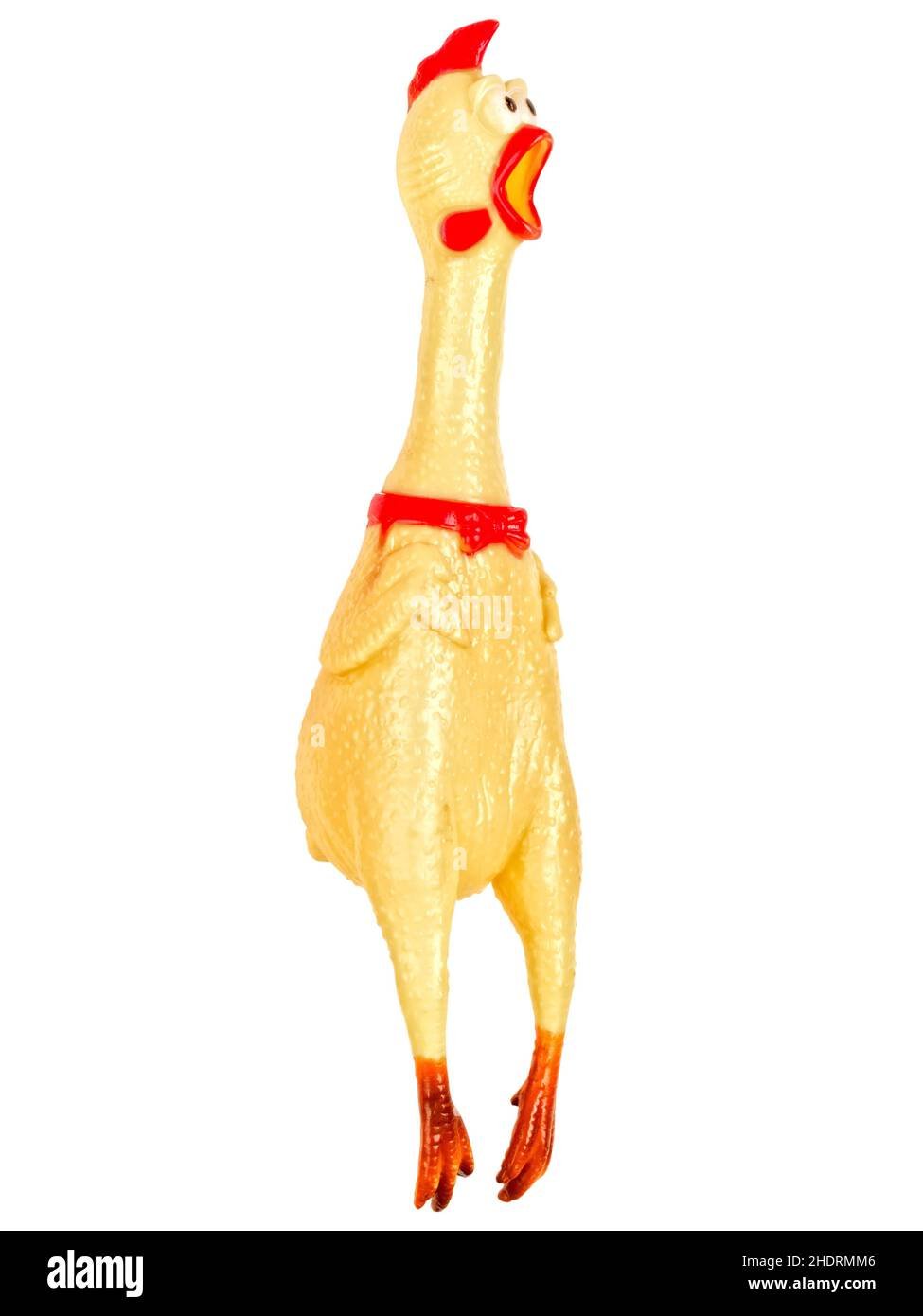đá gà thomo ngày 4 tháng 12 đá gà thomo ngày 4 tháng 12